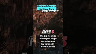 Unbelievable 5 Amazing Facts About Carlsbad Caverns [upl. by Yasibit]