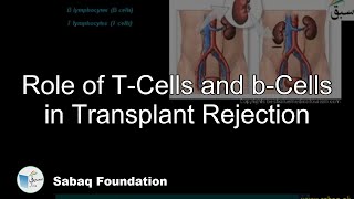 Role of TCells and bCells in Transplant Rejection Biology Lecture  Sabaqpk [upl. by Liw]