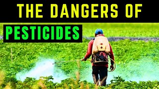 The Dangers of Pesticides Protecting Yourself and the Environment [upl. by Horlacher]