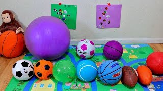 Learn Colors with Different Sports Ball for Baby and Toddlers [upl. by Dennis403]