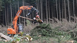 Holzbringung Mösslacher im Oberen Drautal💪🌲Doosan 📸 [upl. by Suhploda]