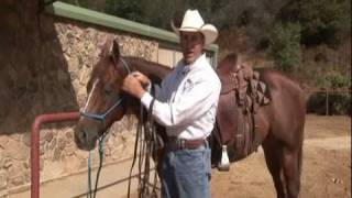 Understanding The Snaffle Bit [upl. by Murrah]