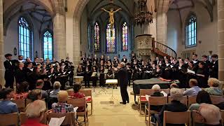 Waldesnacht Op 62 Nr 3  Johannes Brahms  Landesjugendchor BW [upl. by Ityak]