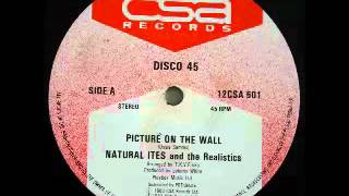 NATURAL ITES amp THE REALISTICS  Picture on the wall 1983 CSA Records [upl. by Marlane686]