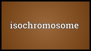 Isochromosome Meaning [upl. by Ahsirek903]