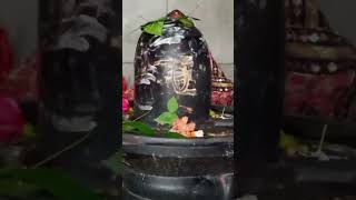 har har Mahadev 🔱🌿🌺🕉️🙏 [upl. by Nnylf]