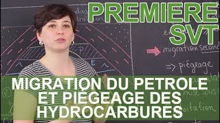 Migration du pétrole et piégeage des hydrocarbures  SVT  1ère  Les Bons Profs [upl. by Dorahs]