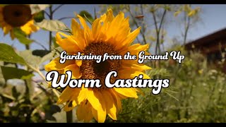 How to Garden with Worm Castings [upl. by Acsecnarf]