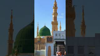 madina sharif shorts viralvideo [upl. by Yenetruoc509]