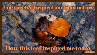 Unexpected Inspiration from Nature  This leaf inspired me today [upl. by Sirref]