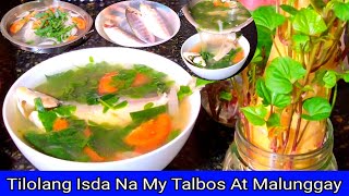 Tinolang Isda With Malunggay At Talbos Ng Kamote  Simply Recipe From My Hometown In Bisaya [upl. by Yllak]