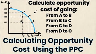 How to Calculate Opportunity Cost Using PPC  Econ Homework  Think Econ [upl. by Odo115]