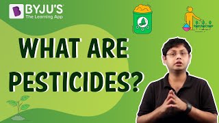 Pesticides  Uses Disadvantages and Advantages [upl. by Ariamoy938]