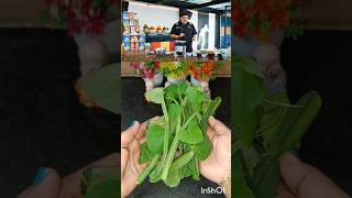 Chef Venkatesh Bhat Pirandai Benefits🌾பிரண்டை துவையல்thinamorupudhumai5998 shorts [upl. by Bowe983]