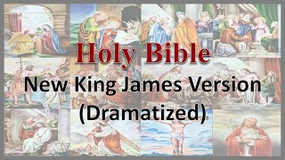 AudioBible NKJV 42 Luke Dramatized New King James Version [upl. by Filippo]