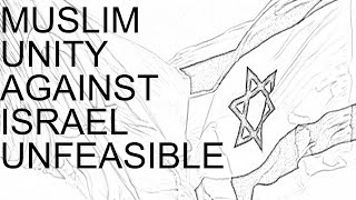 Turkey expert Erdogans call for Muslim unity against Israel unfeasible israelhamaswar israel [upl. by Amilas]