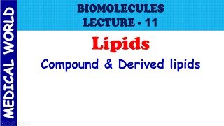 BIOMOLECULES  COMPOUND AND DERIVED LIPIDS  LECTURE 11 [upl. by Ettelegna]