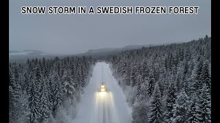 SNOW STORM IN A SWEDISH FROZEN FOREST [upl. by Salb443]