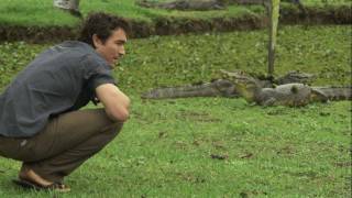 Niall McCann How to Avoid a Crocodile Bite Yacare Caiman [upl. by Kellie]