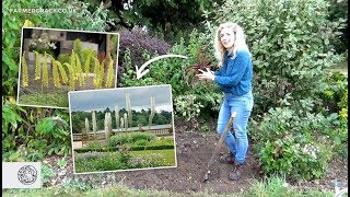 How to grow Eremurus Foxtail Lily bulbstubers  FarmerGracycouk [upl. by Anastasio624]