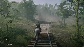 Red Dead Redemption 2 Ambience Searching for Moccasin Orchids Around Butcher Creek [upl. by Llerrat]