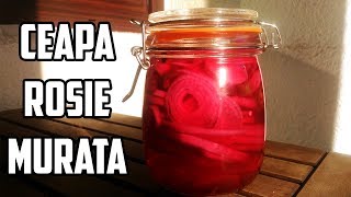 Ceapa rosie murata  Pickled red onions  Spice Up [upl. by Eeralih]