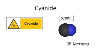 Cyanide  A Metabolic Poison [upl. by Yenitirb232]