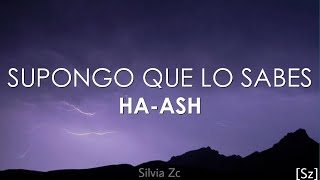 HAASH  Supongo Que Lo Sabes Letra [upl. by Vitalis903]