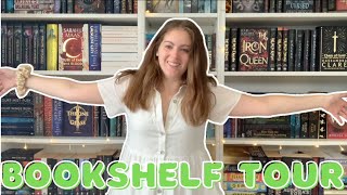 The Bookshelf Tour 2024 [upl. by Naillij309]