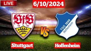 Stuttgart vs Hoffenheim  Bundesliga  Live Score Match 2024 [upl. by Chavey]