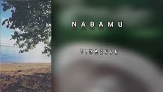 Nabamu  Tinazele [upl. by Aniar]