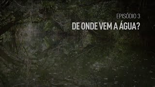 quotDE ONDE VEM A ÁGUA quot 3º episódio da websérie do Projeto VOLUME VIVO [upl. by Bamby]