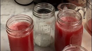 Watermelon Weight Loss Detox Juice [upl. by Nedac97]