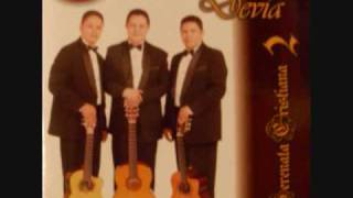 Trio Hermanos Devia Como no creer en Dios Album TRIO HERMANOS DEVIA  Serenata Cristiana 2 [upl. by Cindee]