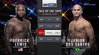 Junior dos Santos vs Derrick Lewis  HIGHLIGHTS HD  UFC Fight Night 146 [upl. by Notnel529]