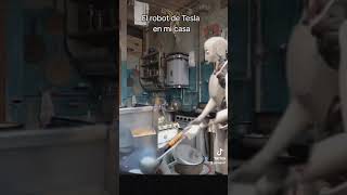 El robot de Tesla en mí casa tesla robot argentina arg argento malpari [upl. by Ytisahcal]