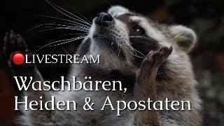 🔴LIVESTREAM Waschbären Heiden amp Apostaten [upl. by Bible]