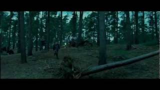 Harry Potter et les reliques de la mort  Bande Annonce VF [upl. by Alduino]