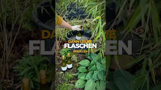 WeinflaschenUpcycling  oder Jauche geruchsfrei aufbewahren garten selbstversorger [upl. by Ripleigh]