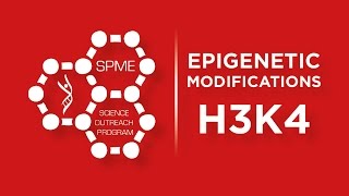 Epigenetic Modifications  H3K4 [upl. by Brittney800]