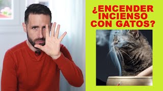 ¿Es malo usar incienso viviendo con gatos [upl. by Sibell]