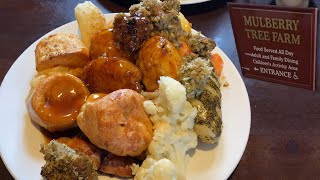 Trying out The Mulberry Tree Carvery and having eyes bigger than our bellies [upl. by Eileme]