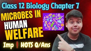 Microbes in Human Welfare  Class 12  Biology  Chapter 8  Important HOTS QAns for cbseclass12 [upl. by Elleoj]