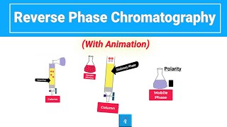 Reverse Phase Chromatography Animation [upl. by Enimisaj]