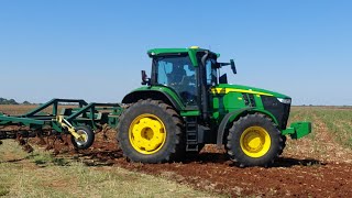 John Deere 7R 210 cultivating [upl. by Derk752]