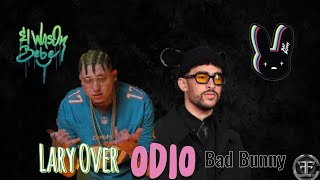 ODIO  Bad Bunny amp Lary Over Video Concept [upl. by Venus422]