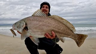 Beach Fishing Mulloway WHY didn’t I try this Rig sooner [upl. by Aihsemaj]