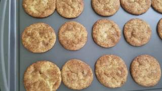 Quick and Easy Snickerdoodle Recipe  Ready to Eat in 20 Minutes [upl. by Lavern]