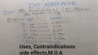 INJ adrenalineUsesDosesContraindication side effects in hindi CPR doses EMR drug [upl. by Lapotin669]