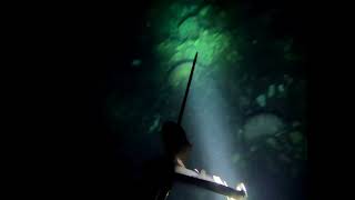 spearfishing Jamaica night [upl. by Handler]